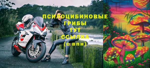 таблы Белокуриха