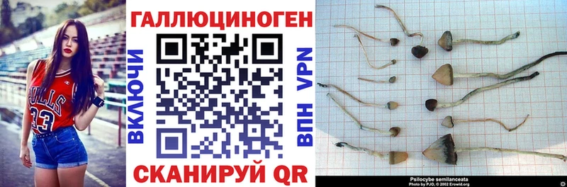Галлюциногенные грибы MAGIC MUSHROOMS  Заозёрск 