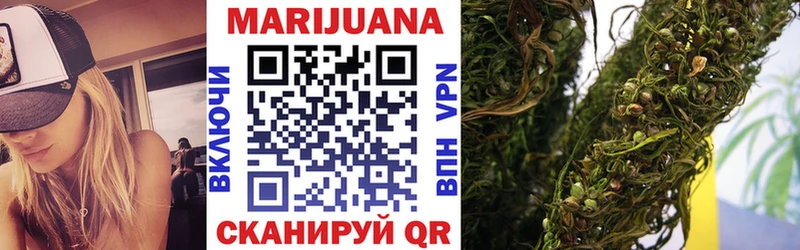 купить наркотики цена  Заозёрск  гидра как войти  Шишки марихуана план 